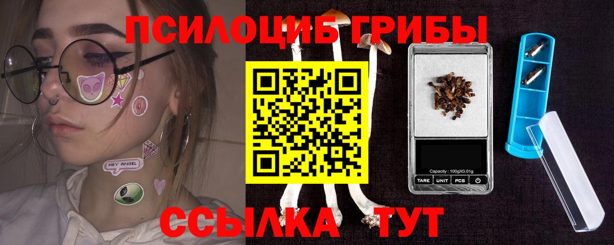 Ногинск  Галлюциногенные грибы Psilocybe  Вход с VPN 
